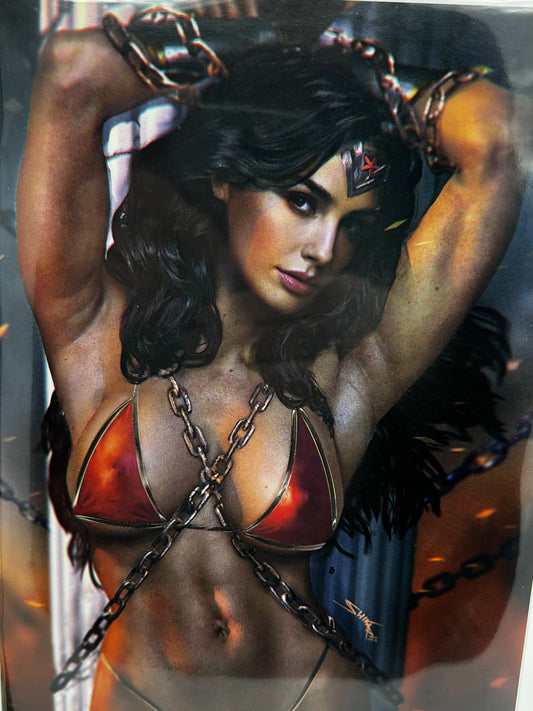 Power Hour Wonder Woman Bikini - Shikarii Publisher Copy