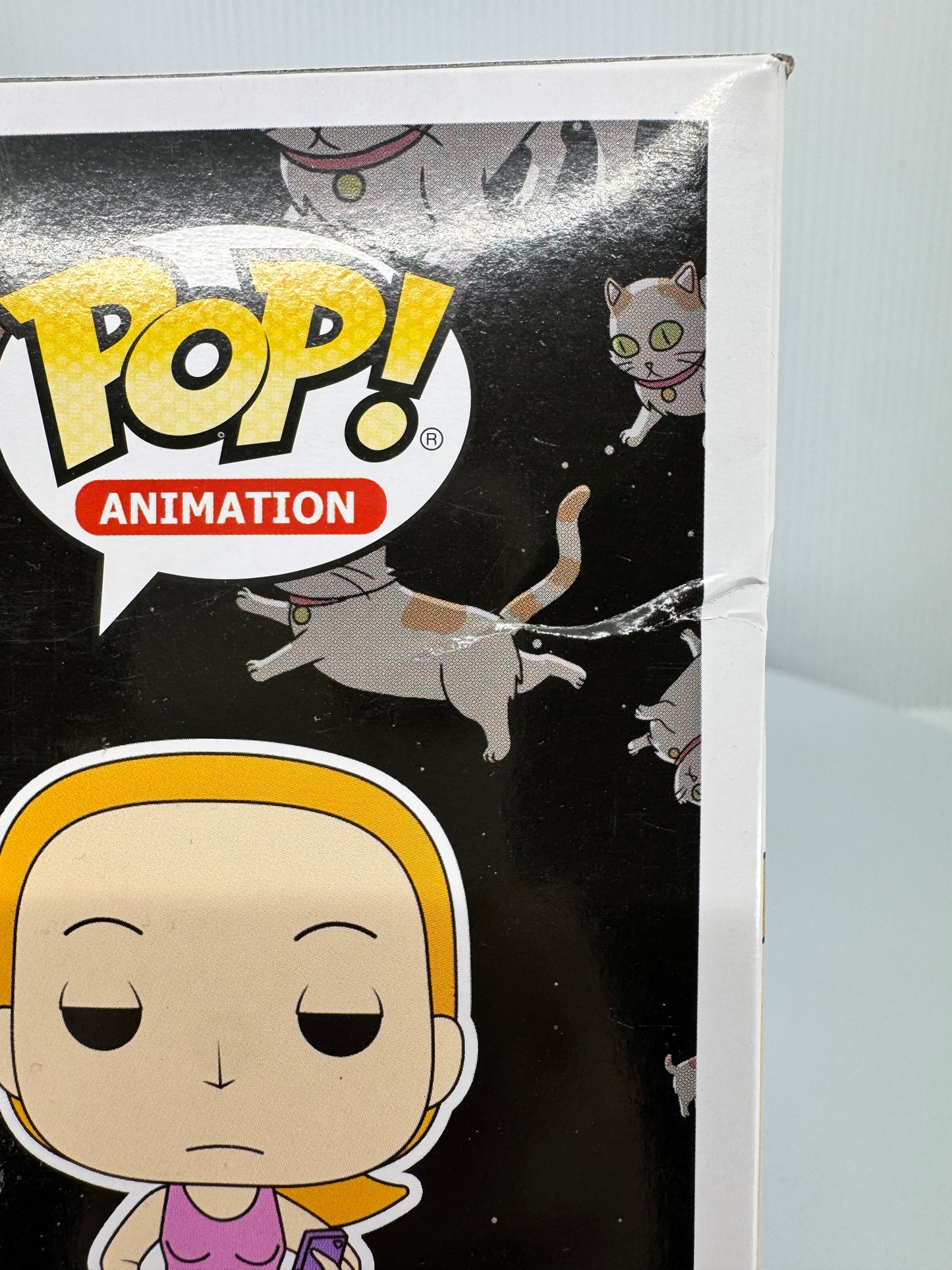 Funko Pop! Animation: Rick and Morty – Summer #303 – Like New (Box Wear)