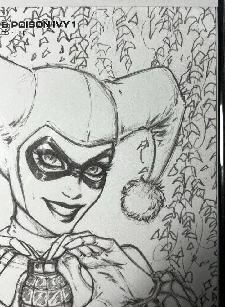 Harley Quinn Poison Ivy #1 Dawn McTeigue Black & White Sketch Cover LTD 1500