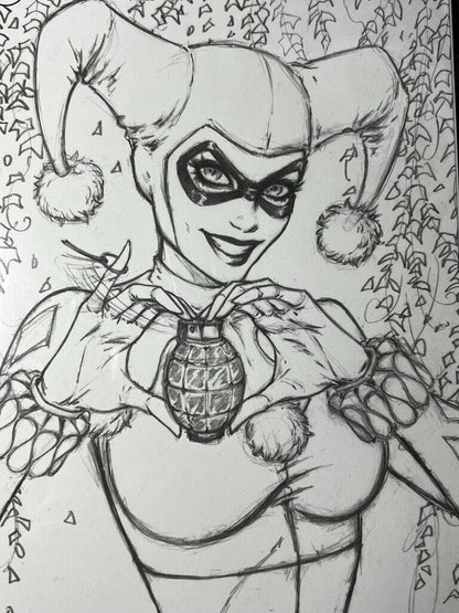 Harley Quinn Poison Ivy #1 Dawn McTeigue Black & White Sketch Cover LTD 1500